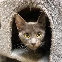 Thumbnail photo of Layla  #2