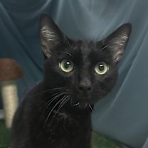 Thumbnail photo of Mr. Handsome #1