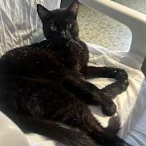 Thumbnail photo of Mr. Handsome #3