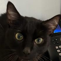 Thumbnail photo of Mr. Handsome #4