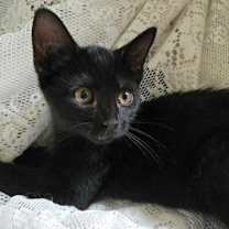 Thumbnail photo of Kiterina #2