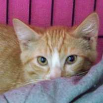 Thumbnail photo of Carly #3