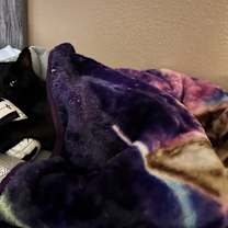 Thumbnail photo of Zipper "Midnight" 4274 #1