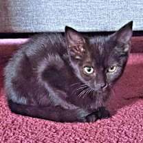 Thumbnail photo of Nora #1