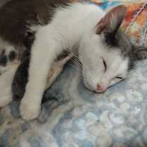 Thumbnail photo of Janine Mewnitz #2