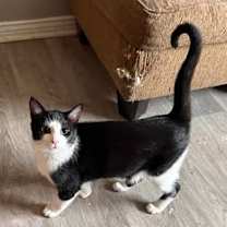 Thumbnail photo of BBQ #1