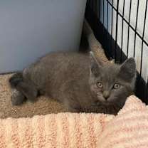 Thumbnail photo of Shoot! #3