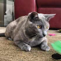 Thumbnail photo of Greta #1