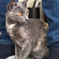 Thumbnail photo of Greta #2