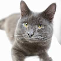 Thumbnail photo of Oatmeal #1