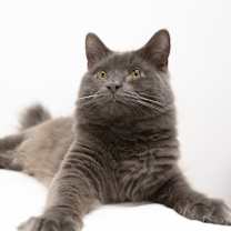 Thumbnail photo of Oatmeal #2