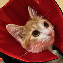 Thumbnail photo of Princess Dasha #3