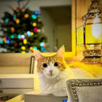 Thumbnail photo of Princess Dasha #4