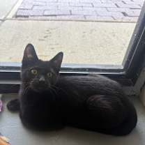 Thumbnail photo of Gracen #1