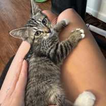 Thumbnail photo of Penelope Cruz #1