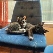 Thumbnail photo of Penelope Cruz #3