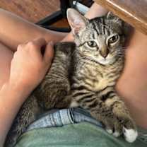 Thumbnail photo of Penelope Cruz #4