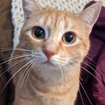 Thumbnail photo of Makka and Nala #3