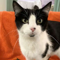 Thumbnail photo of Sophia Marie #1