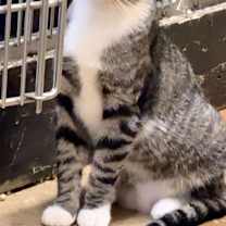 Thumbnail photo of DR RANDOLPH BELL #2