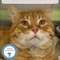 Thumbnail photo of Mr. Neckles #1