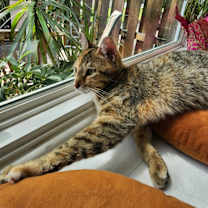 Thumbnail photo of Valentina #2