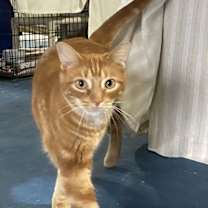 Thumbnail photo of Pappy #1