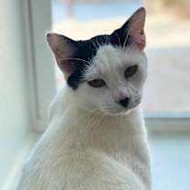 Thumbnail photo of Frost #3