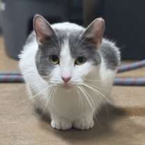 Thumbnail photo of Mama Bomba #1