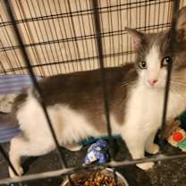 Thumbnail photo of Georgia Hope (Gus) #2