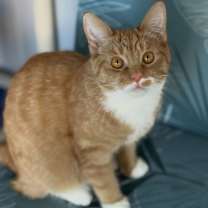 Thumbnail photo of Twizzler #1