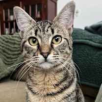 Thumbnail photo of Holly #3