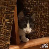 Thumbnail photo of Little Betty #3