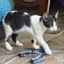 Thumbnail photo of Little Betty #4