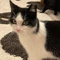 Thumbnail photo of Wally #2