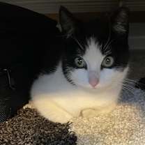 Thumbnail photo of Wally #4