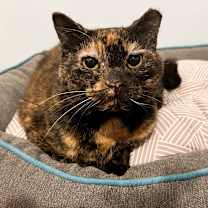 Thumbnail photo of Eve #1