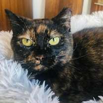 Thumbnail photo of Eve #2