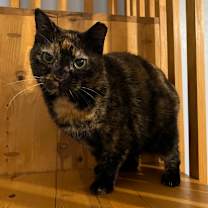 Thumbnail photo of Eve #3