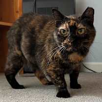 Thumbnail photo of Eve #4