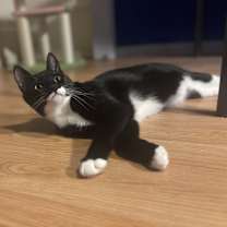 Thumbnail photo of Bonnie #3