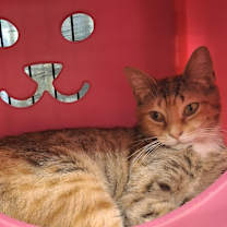 Thumbnail photo of Riley #3