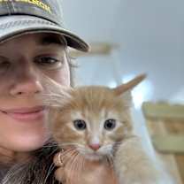 Thumbnail photo of Jinglebell Beautiful #3