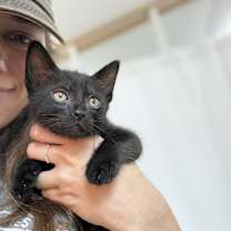 Thumbnail photo of Coral Bell Beautiful #3