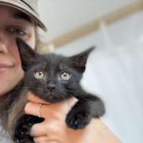 Thumbnail photo of Coral Bell Beautiful #4