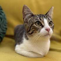 Thumbnail photo of Marseline #1