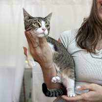 Thumbnail photo of Marseline #3