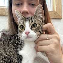 Thumbnail photo of Marseline #4