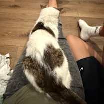 Thumbnail photo of BCAS Spike #4