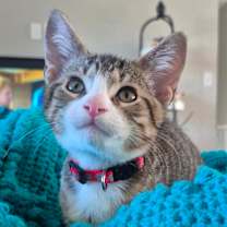 Thumbnail photo of Refund #1